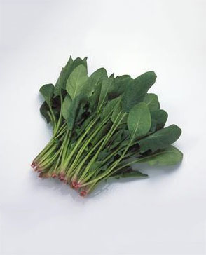 重庆羞羞视频入口农产品配送有限公司_重庆农产品配送