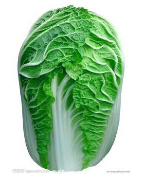 重庆羞羞视频入口农产品配送有限公司_重庆农产品配送