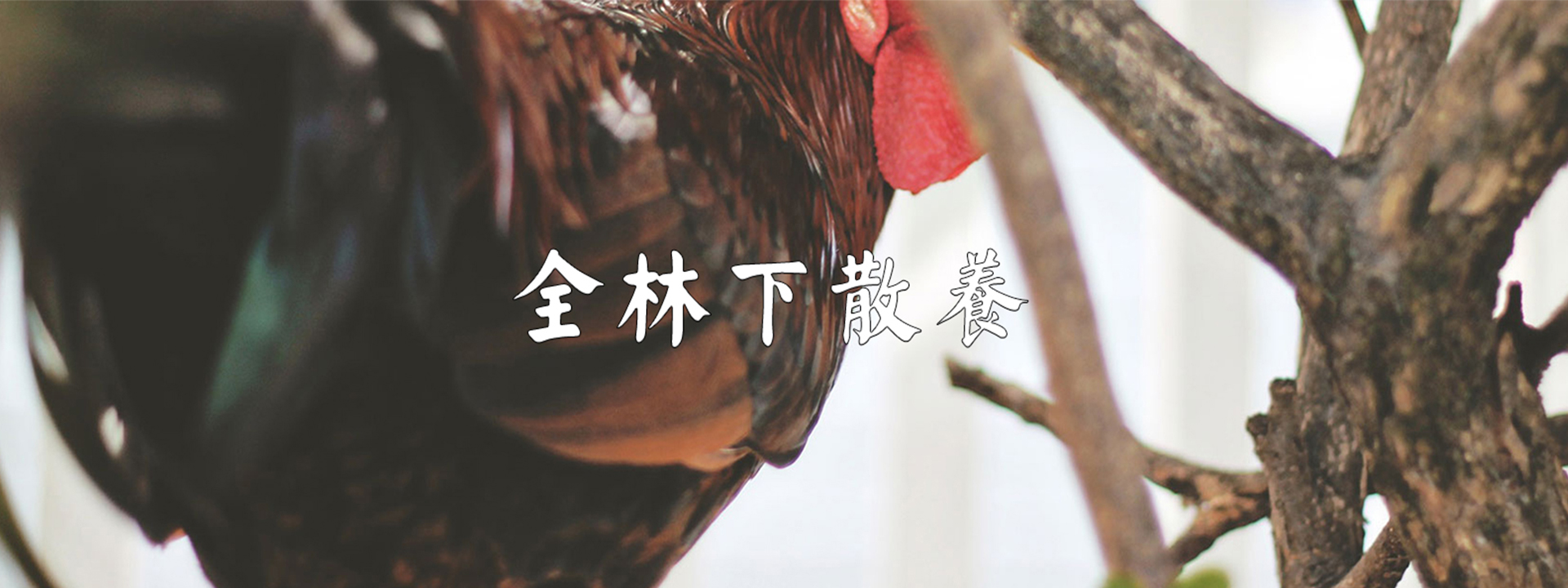 重庆羞羞视频入口农产品配送有限公司